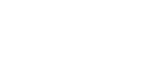 ACME Logo